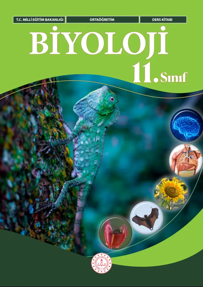Biyoloji Dersi 11. Sınıf Ders Kitabı kapağı